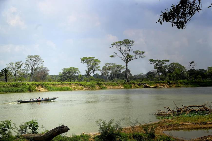 Estos pobladores utilizan una lancha para recorrer el sigiloso Río Patuca, que es el segundo más grande de la región centroamericana. 