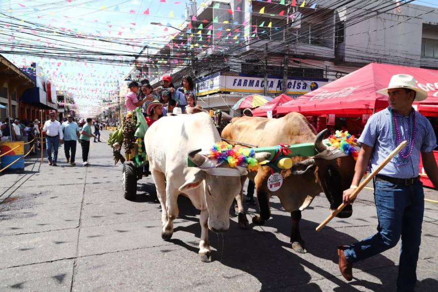 Los ceibeños han mostrado su mejor cara al país y al mundo que para estas fechas, todos los años viven la Feria Isidra.