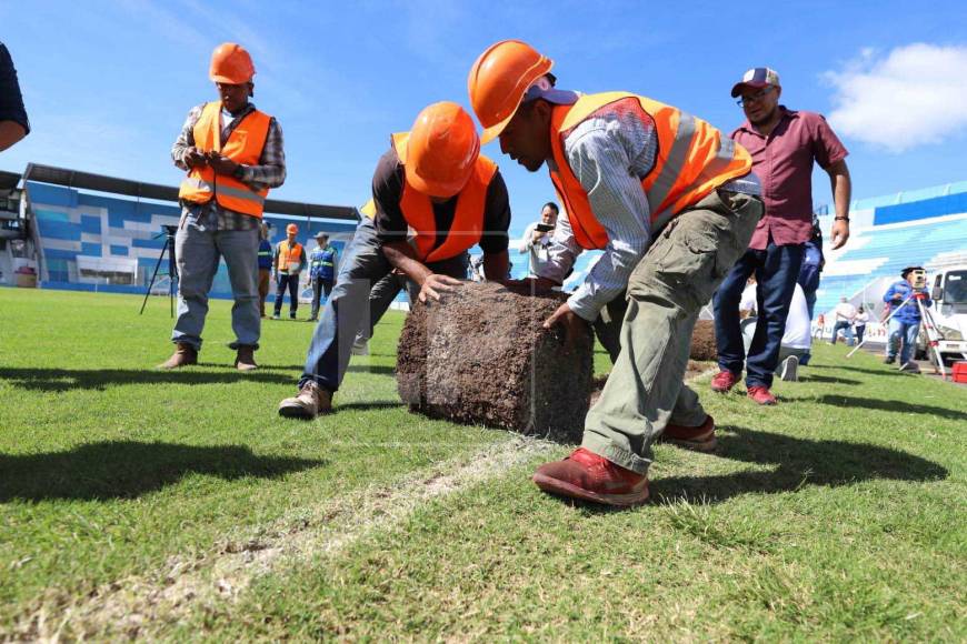 Lo que TMS hará en el estadio Nacional será el mismo proceso que disfrutó por cinco meses el panameño Rommel Fernández, cuyo valor de proyecto es superior ($1,795,000 millones de dólares) al que se realizará en territorio hondureño.