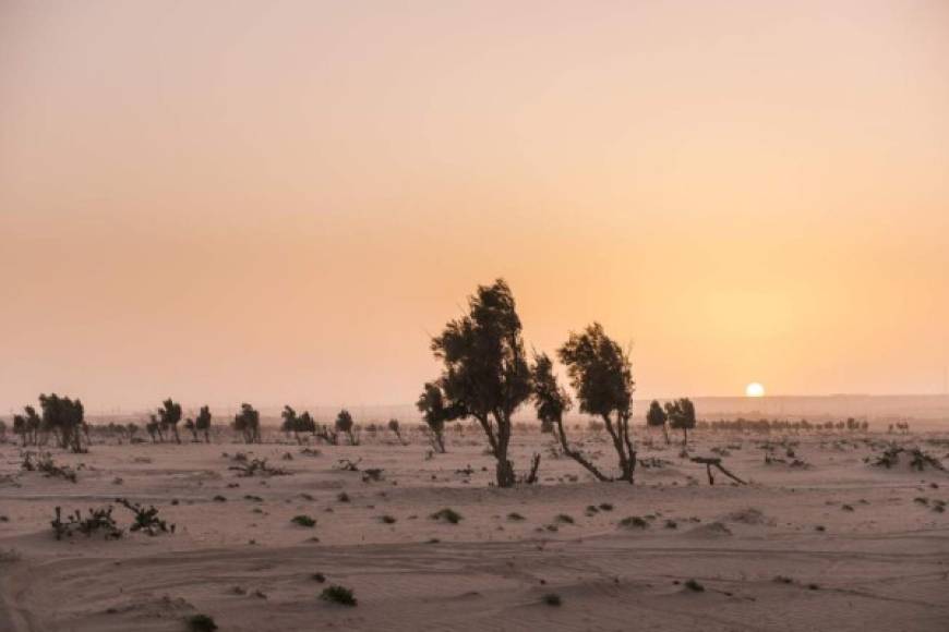 La temperatura del aire ha ascendido hasta por encima de los 70 grados centígrados bajo el sol. En la sombra permanece a 54. El abrasador clima ha derretido autos, basureros y semáforos. Incluso ha incendiado autos en medio de las vías de Kuwait, un país petrolero en Medio Oriente.