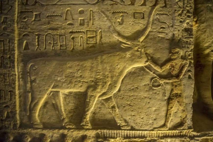 Durante los trabajos, los arqueólogos lograron quitar los escombros y descubrieron un bajorrelieve en el dintel de la parte superior de la entrada, donde están grabados, en escritura jeroglífica, los nombres y cargos del difunto Wahtye.