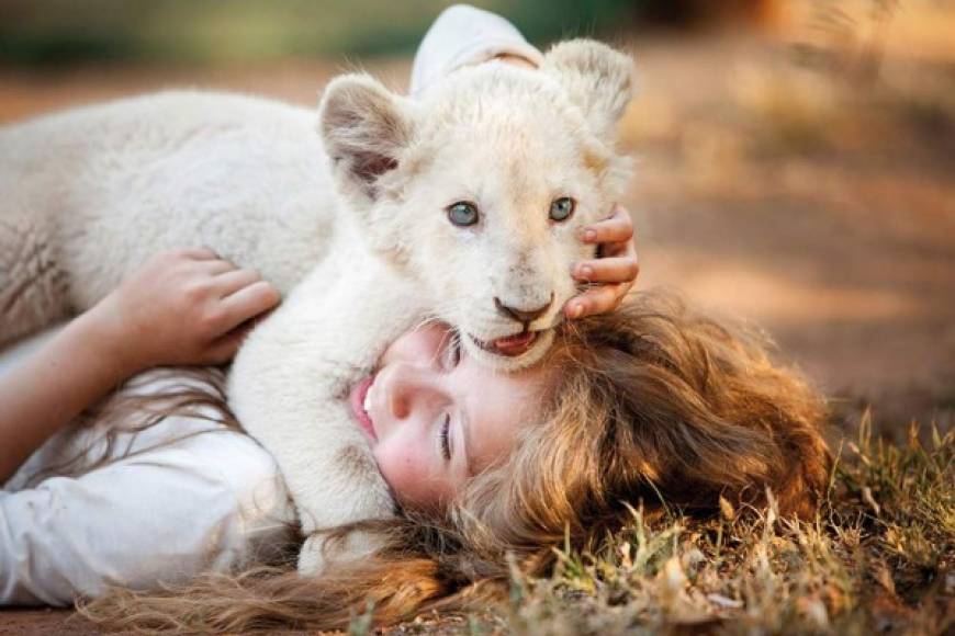 Mi mascota es un león<br/><br/>Una joven que se ha trasladado con sus padres desde Londres a África desarrolla un vínculo sorprendente y especial con un león salvaje. Su increíble amistad la impulsa a viajar por la sabana para salvar a su mejor amigo.<br/><br/>