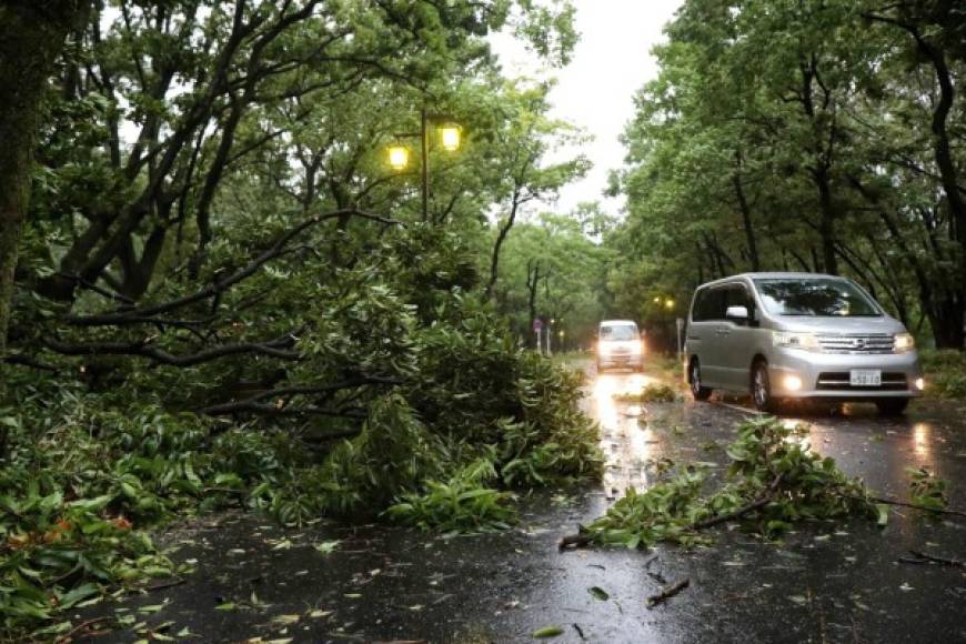 Japón ha sufrido por el cambio climático en estos últimos meses. Más de 220 personas murieron en junio pasado cuando fuertes lluvias azotaron el país provocando fuertes inundaciones. El mes pasado una sofocante ola de calor húmedo dejó 119 muertos.