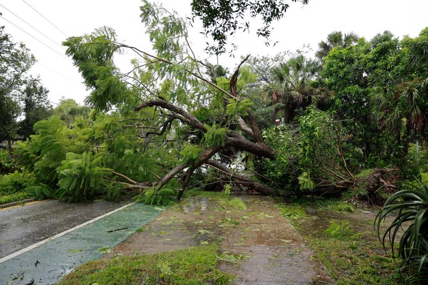 En los Cayos de Florida, que sintieron los efectos de Ian antes que el resto del estado por su cercanía a Cuba, se registraron inundaciones por subida del nivel de mar y lluvias en lugares como Cayo Hueso, una turística ciudad isla, en cuyo centro histórico el agua corría esta mañana por las calles, según imágenes de televisión.