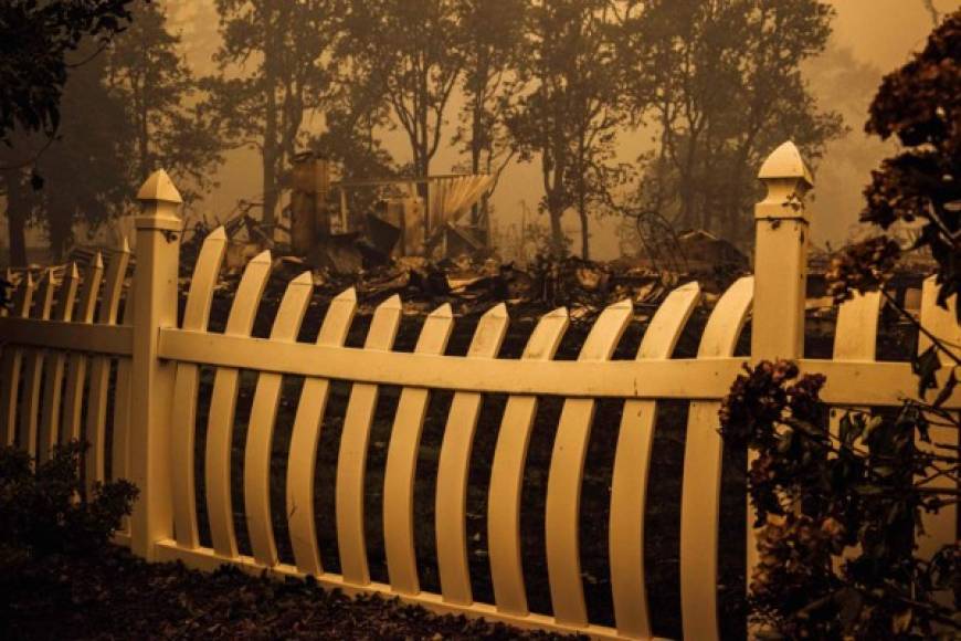 California, por ejemplo, ya ha visto arder más de 1,2 millones de hectáreas este año, algo sin precedentes. Y ocho personas más murieron en los incendios forestales en ese estado el mes pasado.
