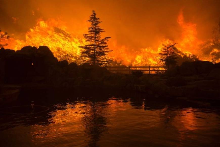 CALIFORNIA. Huyendo de las llamas consumidoras. Cientos de hogares han sido evacuados en Santa Clarita debido a los incendios incontrolados que han arrasado con 8,000 hectáreas y amenazan 1,500 hogares. Foto: AFP/David McNew