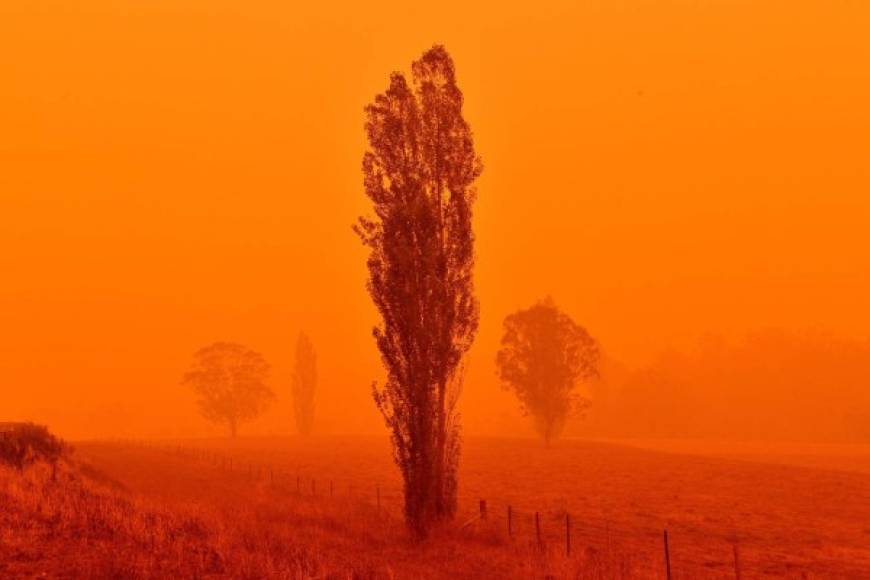 Los incendios también han afectado Nueva Zelanda, donde el humo dejó el cielo rojizo y causó problemas respiratorios en varias personas en Auckland, situada a más de 2.000 kilómetros de Australia.