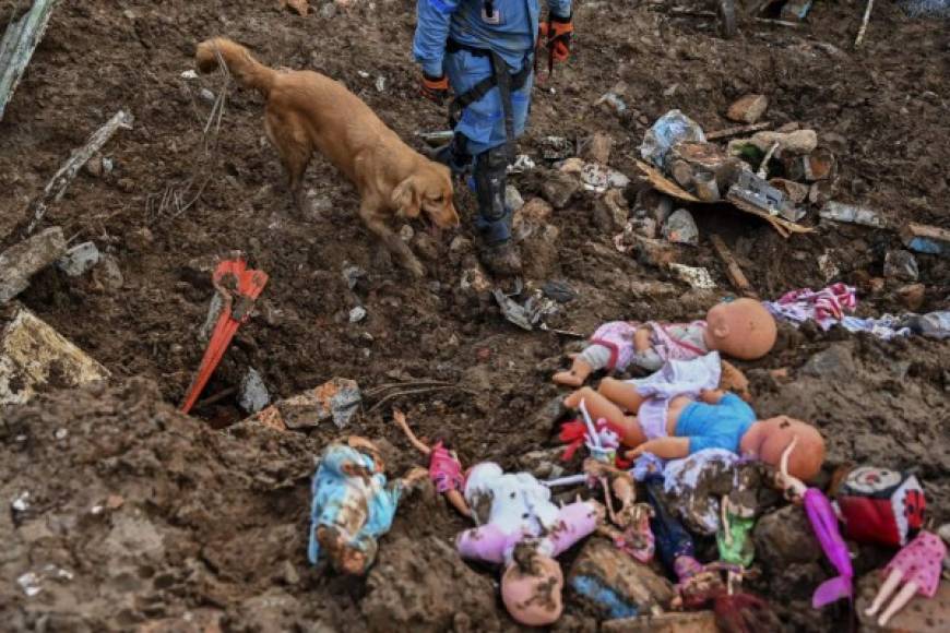 Manuel Bermúdez, miembro de la Cruz Roja Colombiana y su perro Gretta, buscan víctimas en medio de muñecas después de un desprendimiento de tierras en Rosas, departamento del Valle del Cauca, en el suroeste de Colombia.