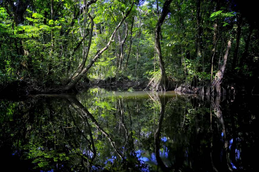 La Mosquitia hondureña es una región que alberga áreas naturales protegidas, entre ellas, el Parque Nacional Patuca, la Reserva de la Biósfera de Río Plátano y la Reserva Tawahka Asagni. 