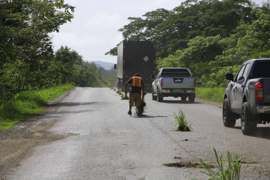 En los 31 kilómetros que separan a La Ceibita y La Flecha, ambas localidades de Santa Bárbara, existen 121 agujeros enormes. Debido a que este tramo tiene varias partes rectas, los conductores aprovechan para acelarar la velocidad, pero se enfrentan a un asfalto lleno de peligrosos hoyos. Hasta plantas le colocan en señal de advertencia a los conductores.