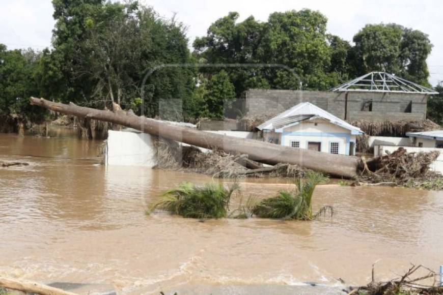 Foto: La Prensa