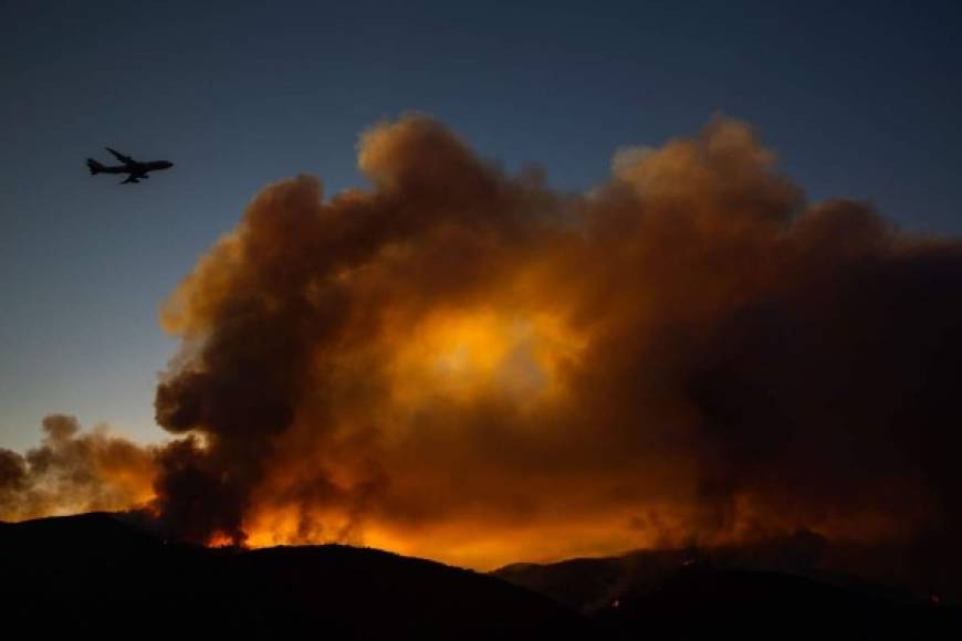 Este incendio, ubicado al norte de San Francisco, crece hacia en una zona boscosa de un parque nacional, donde se construyen líneas de contención para evitar que continúe su propagación.
