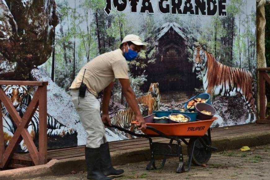 El parque se financia con el dinero que gana en taquilla, en el restaurante Madagascar, cafeterías, piscinas, paseos en lancha, senderos y en las cabañas de albergue. AFP