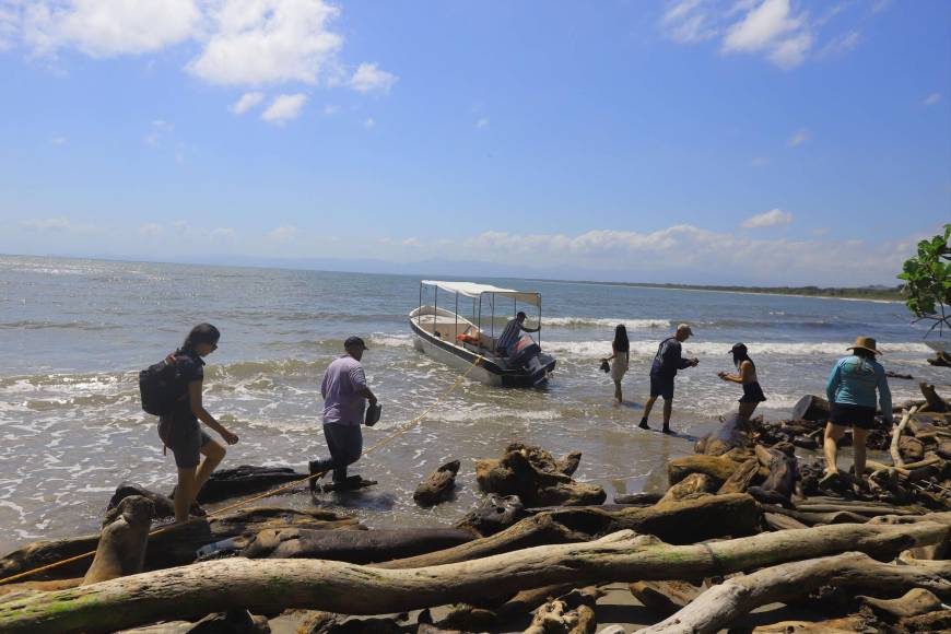 Daniel Montero, guía turístico de Tela Marine, manifestó que uno de los recorridos que no puede faltar es el que se realiza en playa La Bolsa, en donde se recorre el sendero los Curumos, que comunica con otros senderos como Puerto Escondido.