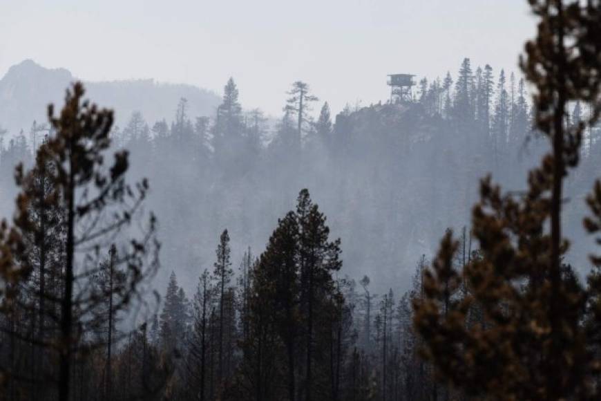 Aunque la investigación todavía sigue abierta, varias informaciones apuntan a que la causa del incendio habría sido un fallo en una línea eléctrica de la empresa suministradora PG&E, lo mismo que provocó el fuego de 2018.