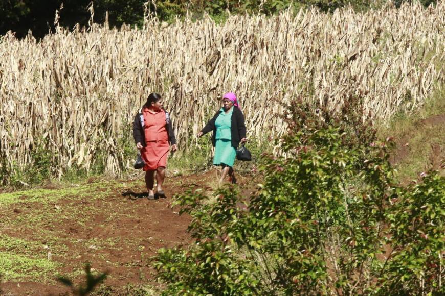 Estas mujeres caminaron grandes distancias para poder votar.