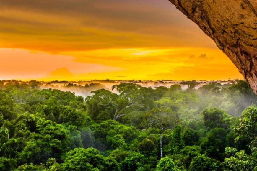 Los incendios que se expanden en la Amazonia, con especial incidencia en Brasil pero también en Bolivia, disparan alarmas en el mundo por la importancia medioambiental del que es considerado como el mayor pulmón vegetal del planeta.