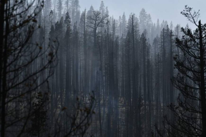 Este incendio, que lleva 57.800 hectáreas quemadas y sólo se ha podido contener en un 18 %, trae los peores recuerdos a los vecinos de Paradise, una ciudad que fue arrasada en 2018 por el incendio más mortífero de la historia de California, en el que murieron 85 personas.