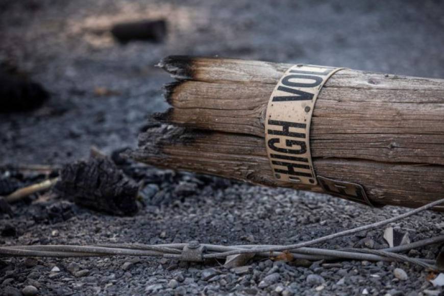 En tanto, la compañía Pacific Gas & Electric, principal proveedor de electricidad del estado, investiga una falla en una de sus torres que podría estar vinculada con el incendio de Kincade.