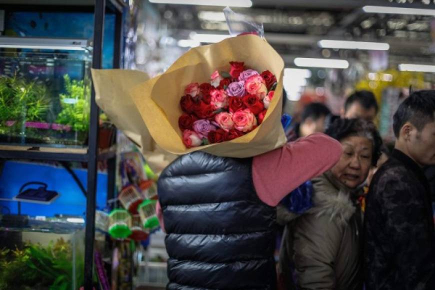 Después de Navidad, San Valentín es la celebración en la que los norteamericanos gastan más dinero, y el mes previo al día de los enamorados, el 14 de febrero, es el mayor pico del año para los floricultores colombianos, que satisfacen el 74% de esa demanda.