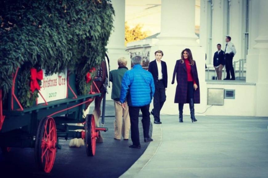 Melania Trump sorprende con nuevo look al recibir su último árbol de Navidad en la Casa Blanca