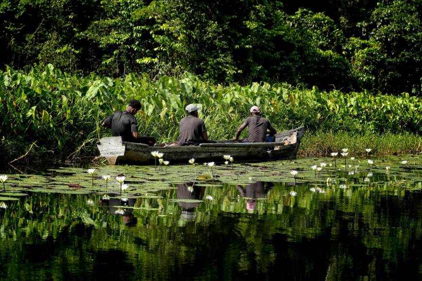 La pesca es una de las actividades más comunes que realizan habitantes misquitos en el Rio Ribra, que también forma parte de afluentes en La Mosquitia. 
