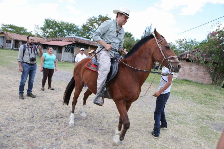 La Oabi informó que se trata de 15 caballos que fueron decomisados el pasado 1 de abril de 2022 en Francisco Morazán, Lempira y Olancho.
