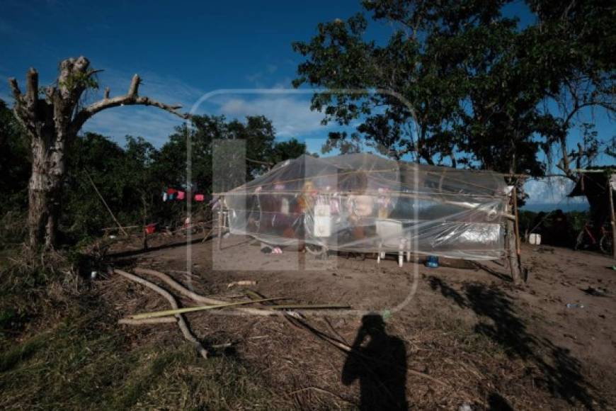 Luego de pasar por las covachas a lo largo del bordo se aprecia la aniquilación en medio del campo Amapa.