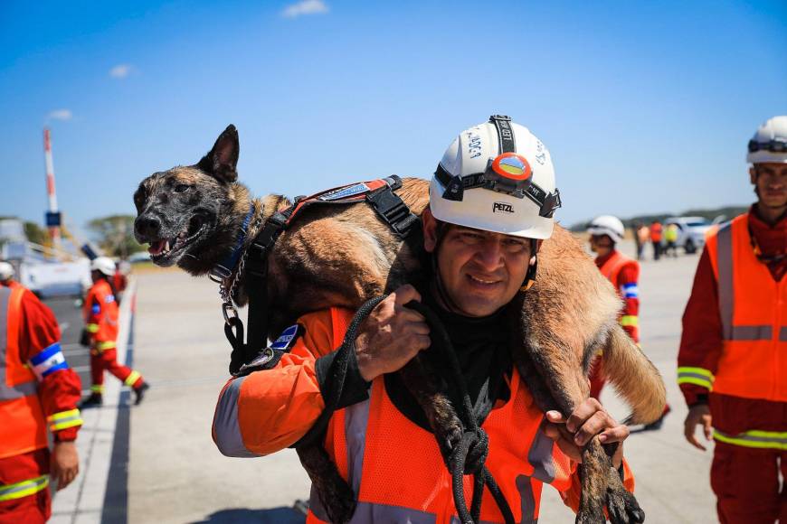 Dos perros de rescate acompañan al equipo de rescate salvadoreño en el viaje hacia Turquía.