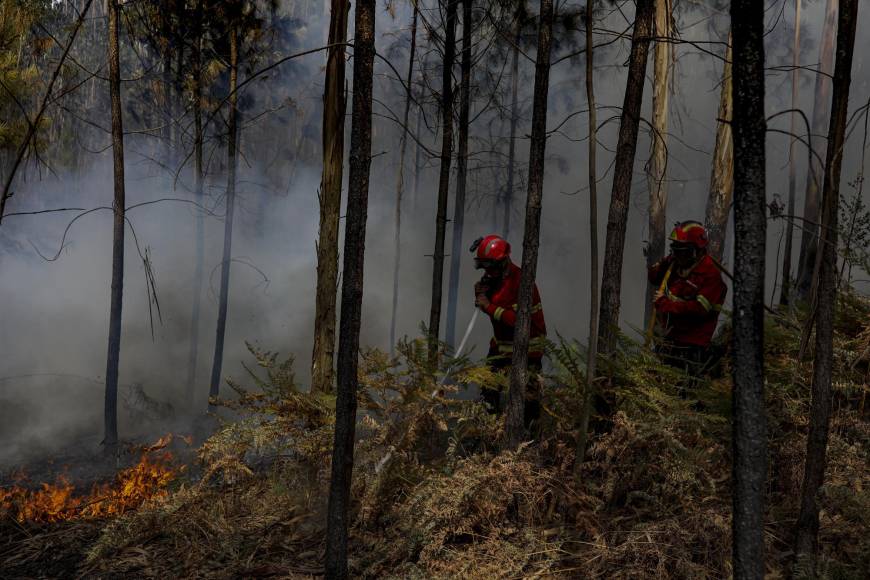 Mientras tanto el fuego sigue arransado miles de hectáreas en España en incendios forestales de punta a punta al país, que mantienen en vilo a poblaciones rurales mientras un importante dispositivo con apoyo del Ejército intenta sofocar las llamas.