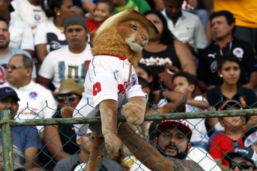 Los aficionados olimpistas llevaron peluches de león para animar a su equipo.