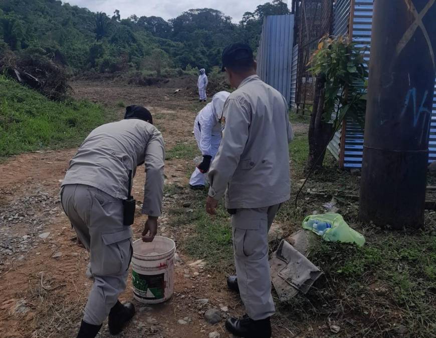 Personal del Cuerpo de Bomberos llegaron al sitio donde se registró el hecho para limpiarlo de los insectos, también conocidos como “abejas africanizadas” o “asesinas”.