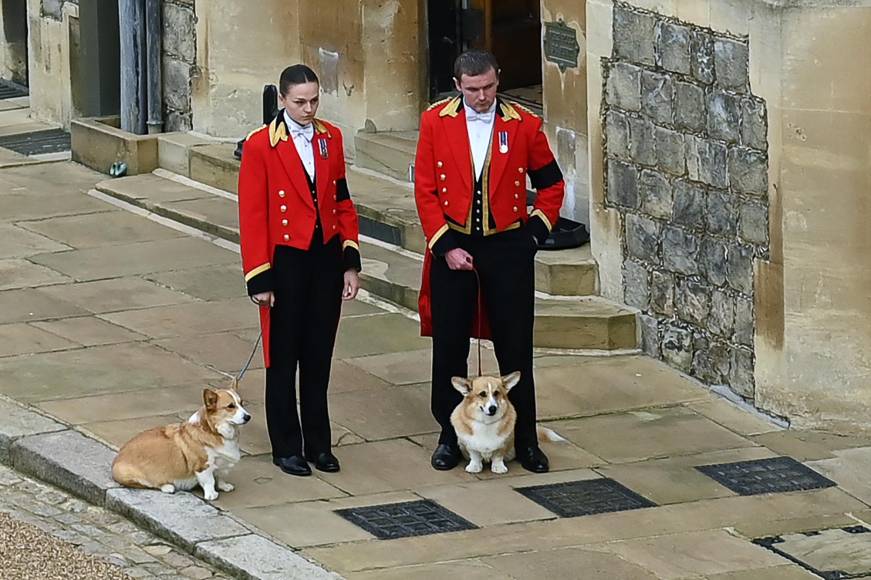 Los dos perros esperaron pacientes en Windsor la llegada del féretro de la monarca. Las mascotas pertenecerán ahora al príncipe Andrés, el hijo favorito de la reina caído en desgracia por su amistad con Epstein.