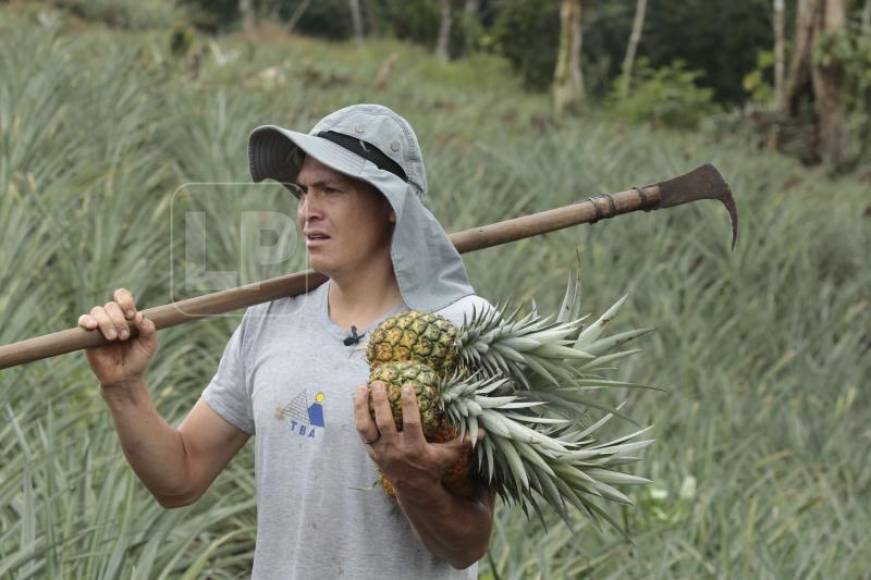 La media manzana de terreno extrañará a Francisco, quien siempre cultivó maíz, frijoles, yuca y plátano a unos cuantos pasos de su casa.