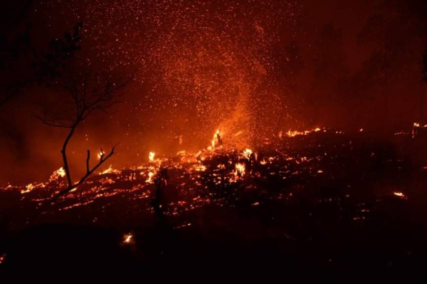 Un incontrolable incendio destruía la noche del lunes decenas de hectáreas de pino en la elevación montañosa de El Hatillo, al este de Tegucigalpa, mientras bomberos y militares hacían denodados esfuerzos por controlarlo, informaron organismos de contingencias. AFP