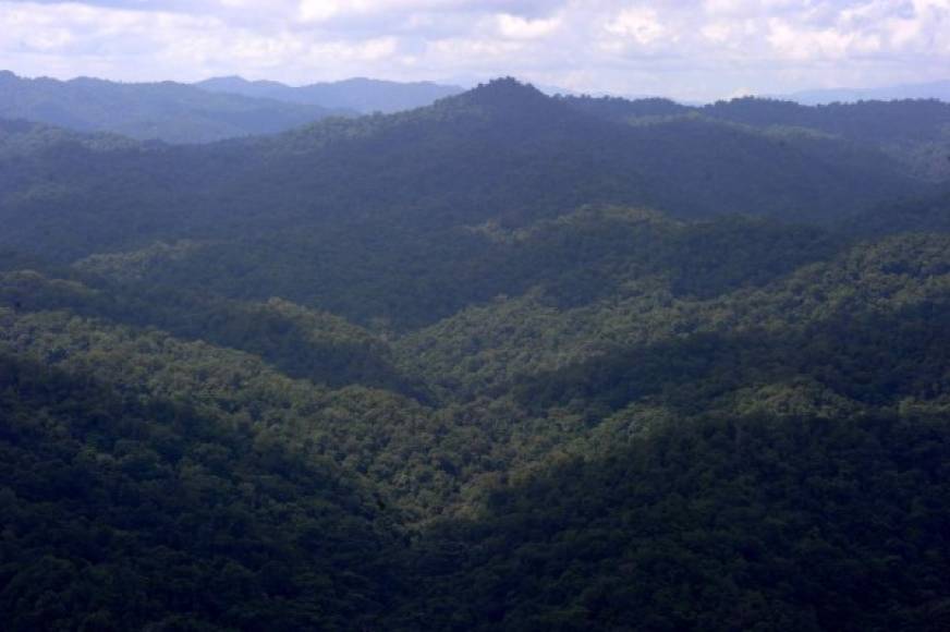 La Biosfera del Río Plátano fue declarada Patrimonio de la Humanidad por la Unesco en 1980.