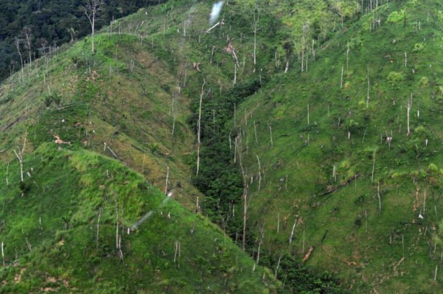 La deforestación en la zona protegida queda evidenciada en los sobrevuelos de las autoridades.