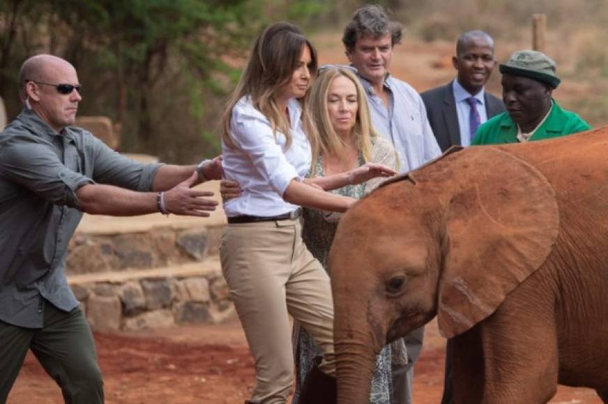 La primera dama tropezó cuando se acercaba a los elefantes huérfanos y tuvo que ser ayudada por uno de sus agentes del Servicio Secreto.