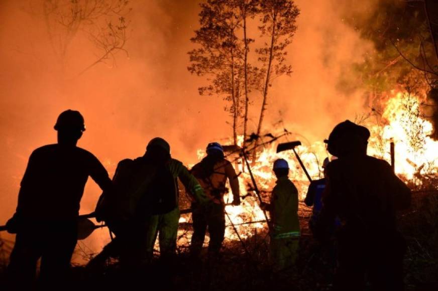 Agregó que una familia que estaba en riesgo fueron evacuados y se aprestaban a evacuar otras por prevención en la zona de 'el Carintero', poco poblada pero nutrida de pinos que sucumbían por efecto de las llamas. AFP