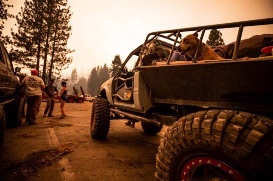 Precisamente es el de la Sierra el que más rápido se ha extendido, arrasando el pueblo de Big Creek y obligando a evacuar por completo a la población de Auberry, de 2.500 habitantes.