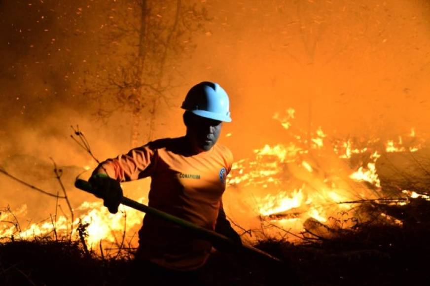 La portavoz aclaró que desconocían aún el número de hectáreas arrasadas por el incendio que seguía incontrolable a pesar de los esfuerzos de los guardabosques. AFP