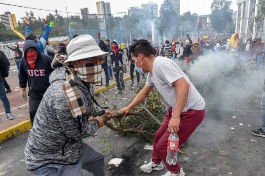 Los manifestantes colocaron ramas de árboles en las vías frente a la matriz del Instituto Ecuatoriano de Seguridad Social (IESS), donde la semana pasada se registraron varios de los hechos más violentos contra la decisión del Gobierno de eliminar los subsidio del diésel y la gasolina extra, la de mayor consumo.