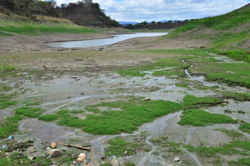 Existen zonas del embalse Los Laureles que se observan casi desiertas a falta de agua.