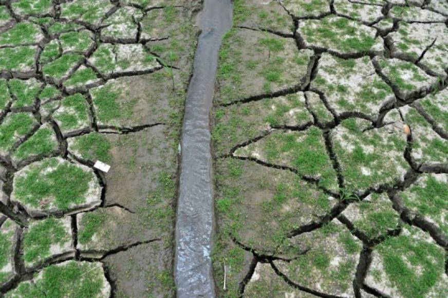 Autoridades del Sanaa esperan que en el mes de mayo hayan lluvias que levanten el nivel del agua en la represa Los Laureles.