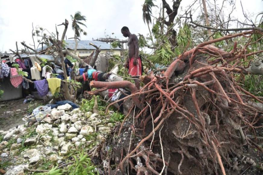 Una periodista de la AFP constató que la tormenta se llevó el techo de la catedral de Les Cayes, tercera ciudad del país, situada en la costa del suroeste del país.