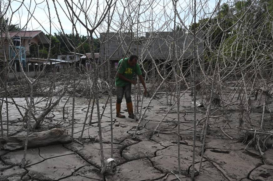 Después del huracán Mitch, que azotó en 1998, la peor tragedia climática que ha experimentado Centroamérica, las autoridades hondureñas construyeron unos muros de tierra a la orilla del Ulúa y el Chamelecón, para proteger las poblaciones.