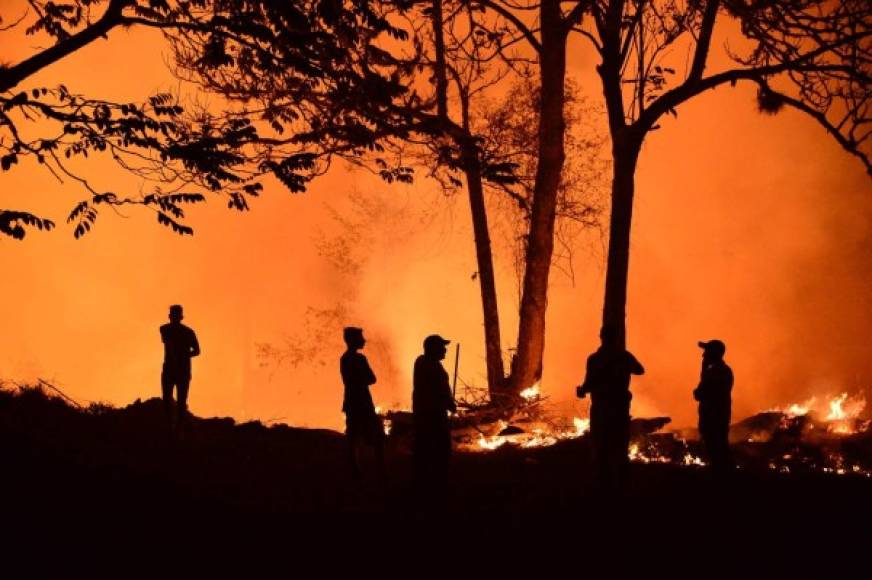 En lo que va del año se registra una reducción de 13% en el número de incendios forestales pero el área afectada es 16% mayor que la del año pasado.
