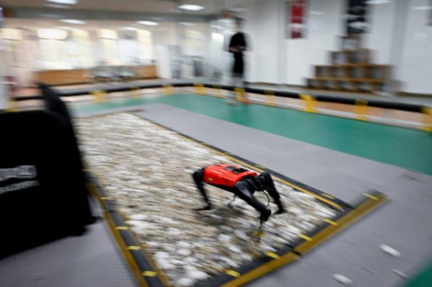 Con una velocidad máxima de 15 kilómetros por hora, AlphaDog reivindica ser el mas veloz del mercado y sus cuatro patas metálicas le itirgan una mayor estabilidad que a un perro, explican sus diseñadores quienes --como demostración-- le propinan un puntapie al robot.