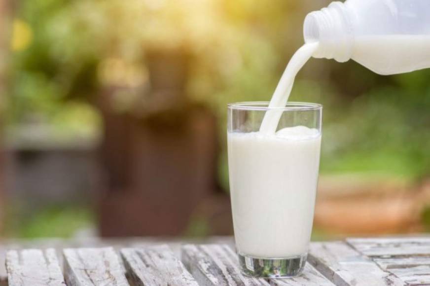 Leche<br/>La leche es muy importante porque contiene triptofano el cual es un aminoácido que ayuda a que las erotonina sea metabolizada más rápidamente en nuestro cuerpo, esto hace que estemos equilibrados y con muy buen humor.