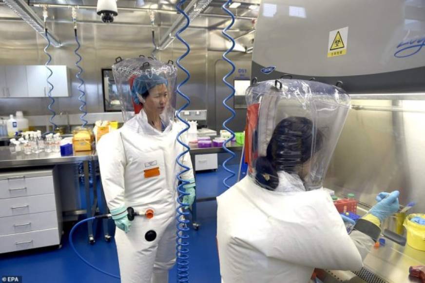 La investigación de la doctora Shi Zhengli (imagen, izquierda) sobre el coronavirus, derivado de murciélagos, fue citada por la inteligencia como una preocupación clave, según el expediente.